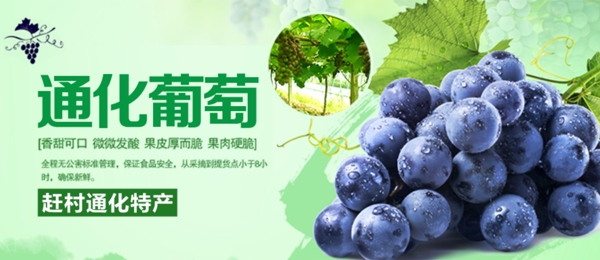 水果海報
