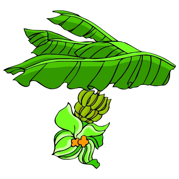 花卉古典插畫