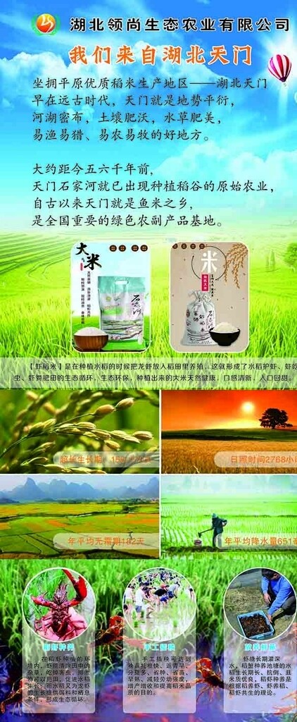 蝦稻養(yǎng)殖展架
