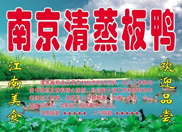 荷塘戲水麻鴨圖片