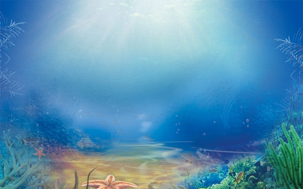 唯美海底世界