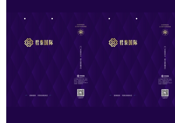 君泰國際手提袋圖片