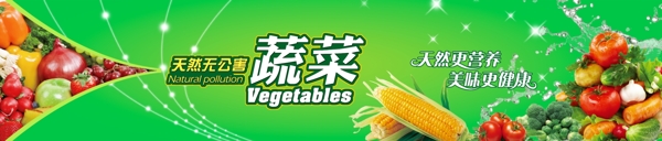 有机蔬菜