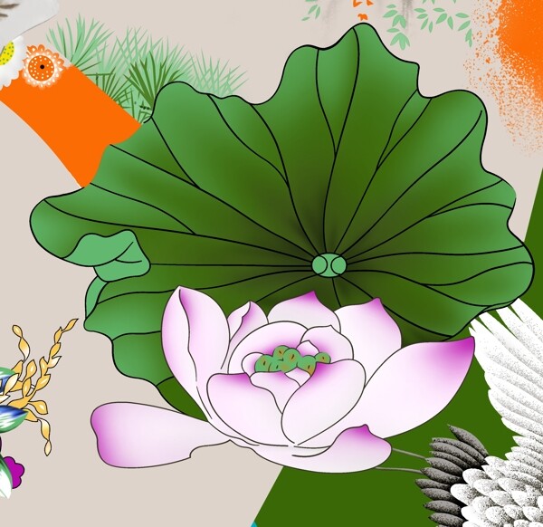 荷花
