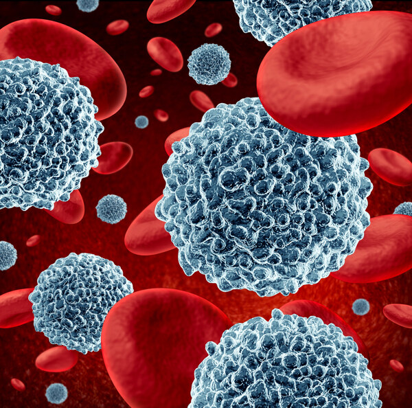 红细胞血管生物病毒高清背素材