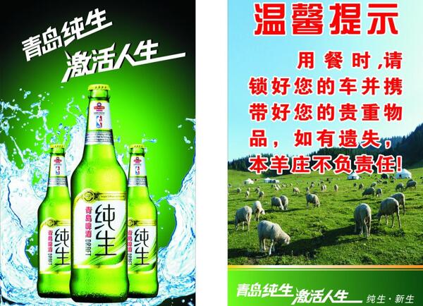 青島純生啤酒圖片