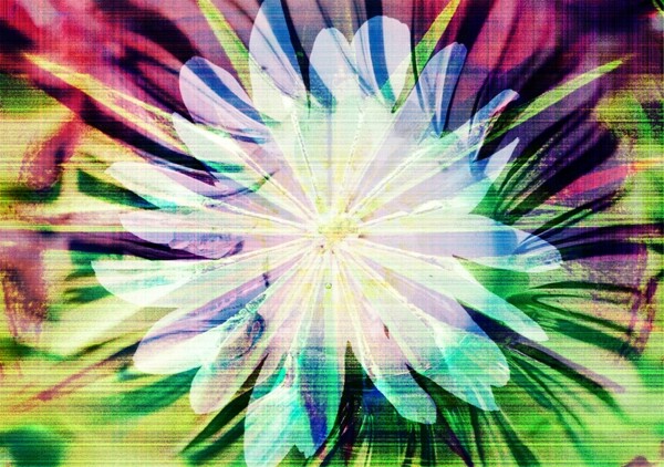 抽象花