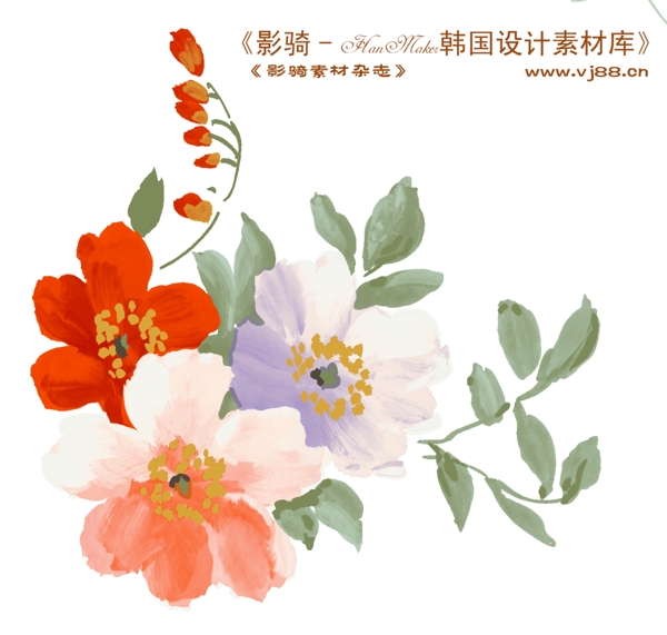 花紋花朵裝飾修飾HanMaker韓國設計素材庫