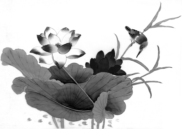 黑白水墨莲花上的翠鸟