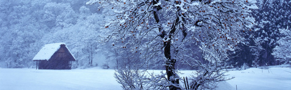 雪景背景素材