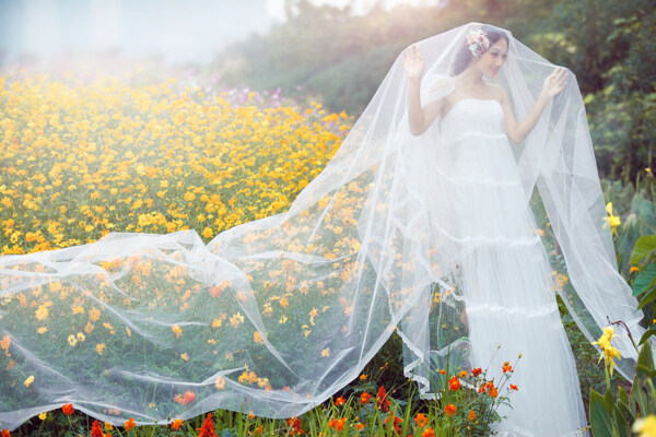 油菜花地里披着头纱的新娘图片