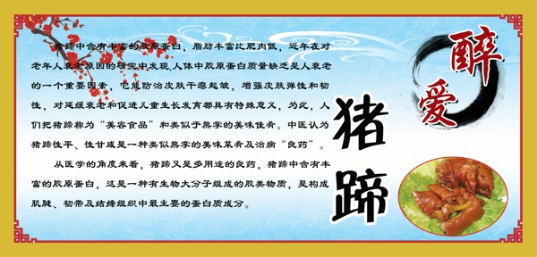豬蹄圖片