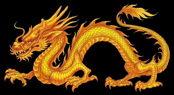 金龍