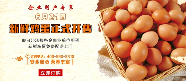 新鲜鸡蛋淘宝电商海报banner