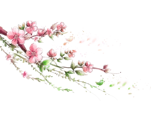 手繪花