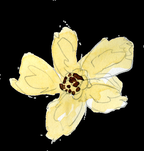 淡黃花蕊透明裝飾素材