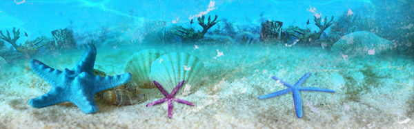 海底