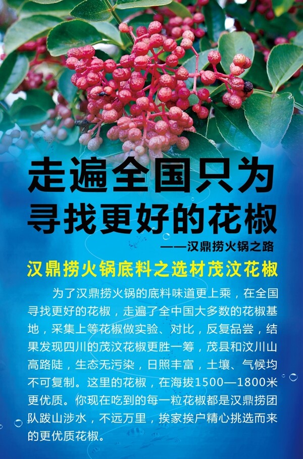 花椒