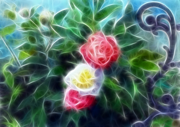 花卉