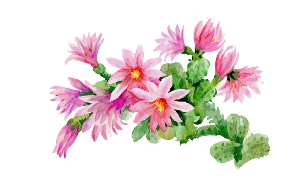 夏季粉色花朵植物花朵水彩手绘矢量文件