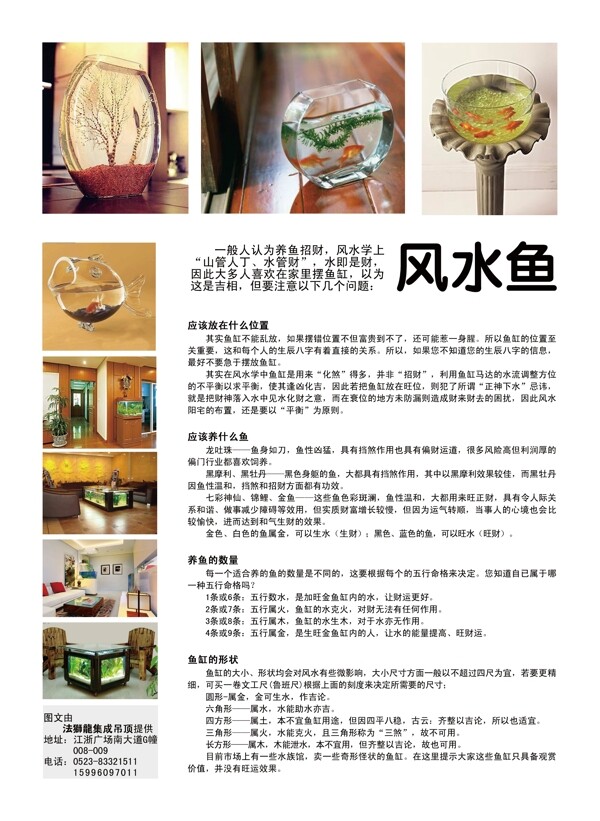 風(fēng)水魚圖片