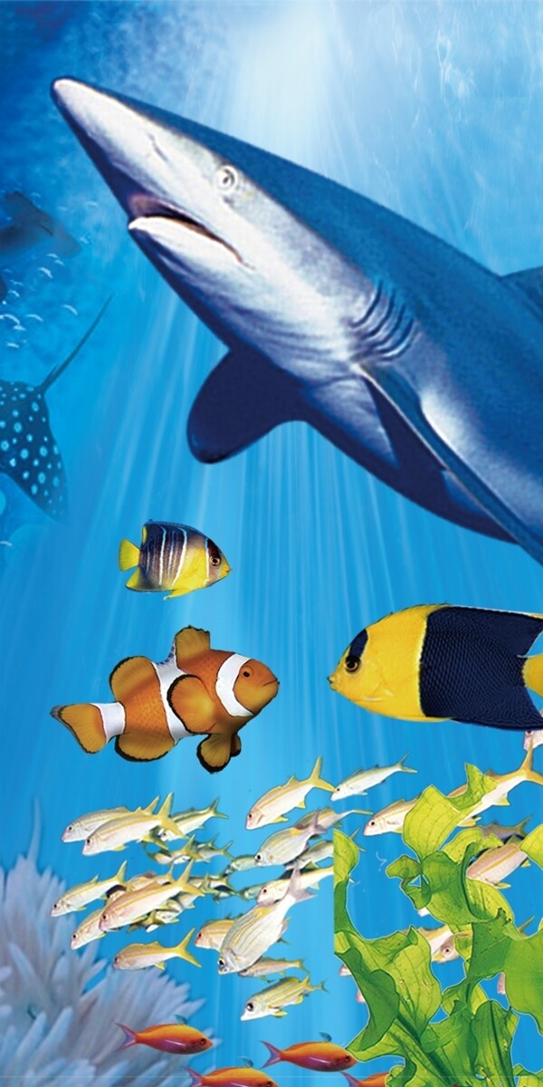 海底世界扑鱼电玩图片