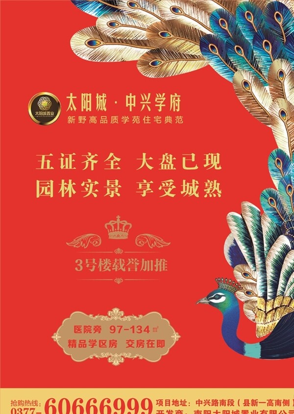 海報(bào)孔雀紅色背景