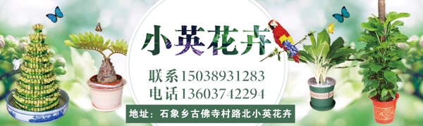 花卉海報