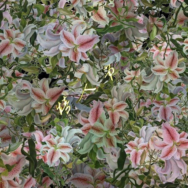 情人節(jié)