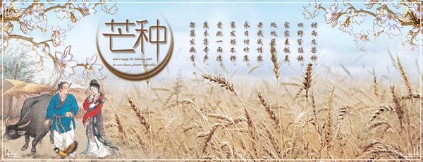24節(jié)氣之芒種