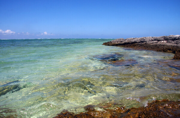 美麗的海灘圖片