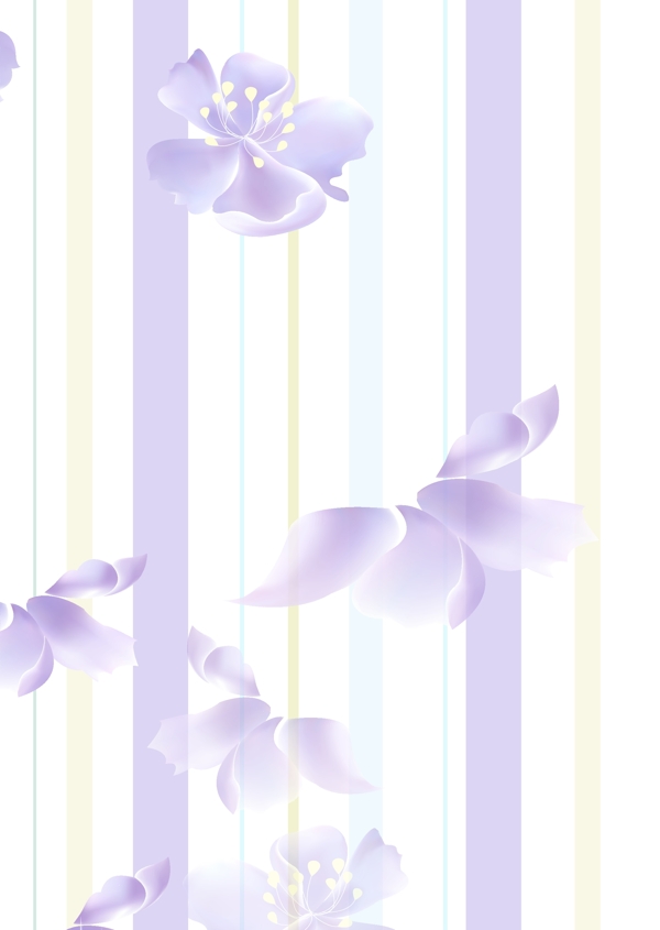 夢幻花圖片