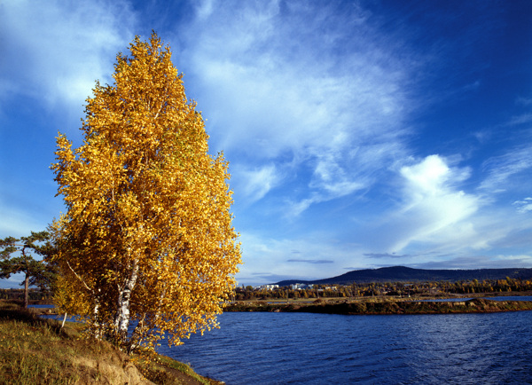 美丽湖泊与秋天的树木图片