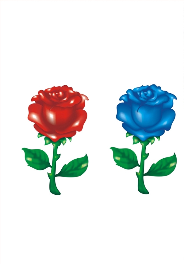 玫瑰花