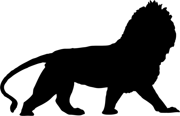 野生动物系列雄狮狮子矢量