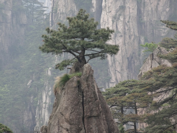 黃山