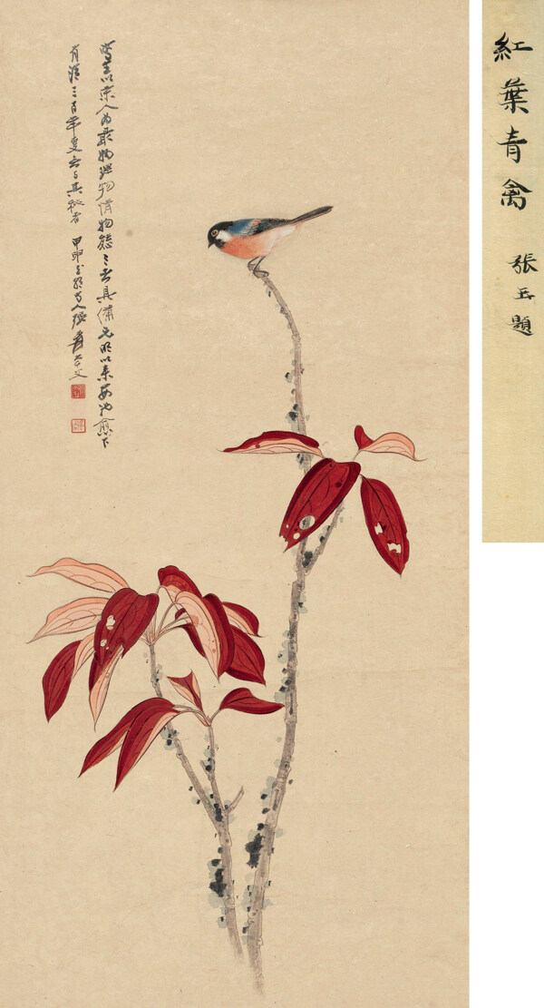 張大千紅葉青禽圖片