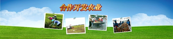 合作開發(fā)農(nóng)業(yè)