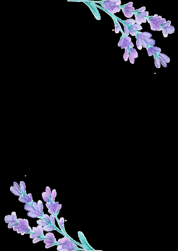 紫罗兰优雅花卉透明装饰素材