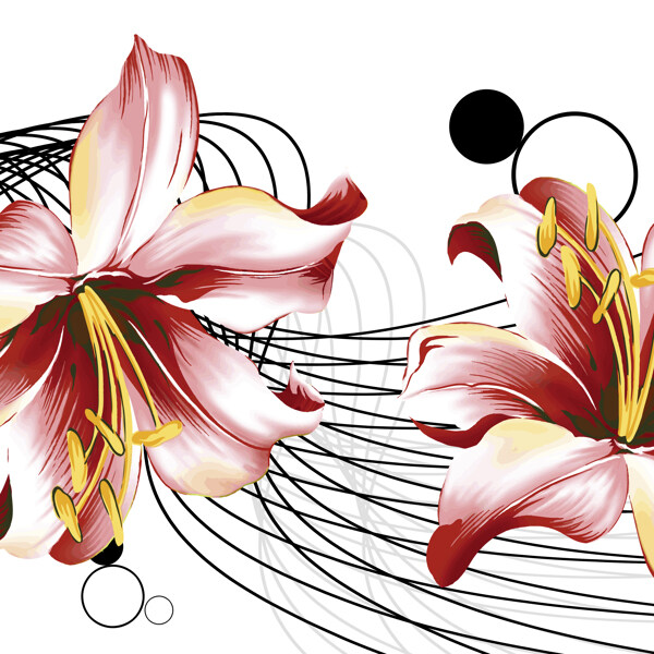 百合花裝飾設(shè)計(jì)