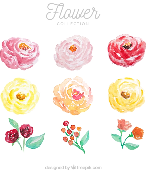9款水彩绘花朵设计
