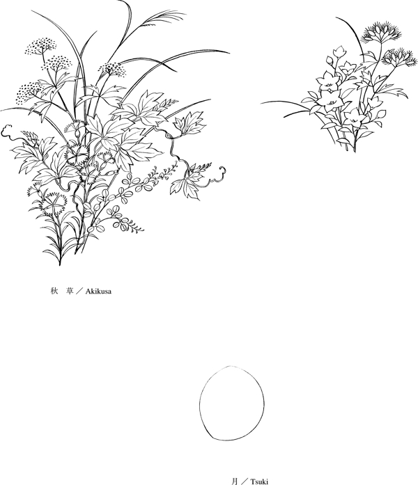 线描植物花卉矢量素材5秋草与月亮.