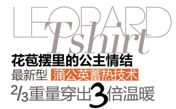 時尚女裝字體排版設(shè)計