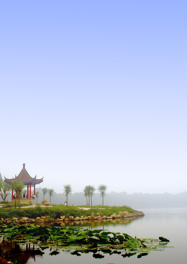 樹植物水風(fēng)景