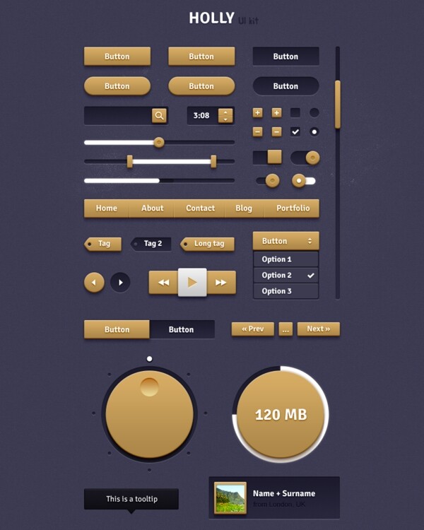 金色炫酷按钮滑块进度条网页界面设计素材