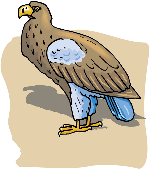 各種鳥類鳥動物矢量素材EPS格式0851