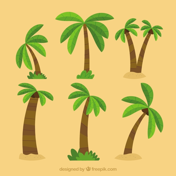 扁平设计中的棕榈树
