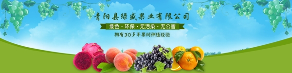是關(guān)于水果設(shè)計(jì)的網(wǎng)站banner