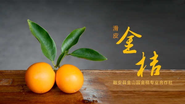 金桔淘寶banner水果簡(jiǎn)約