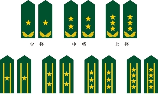 中国人民07陆军少校到上将常服肩章图片